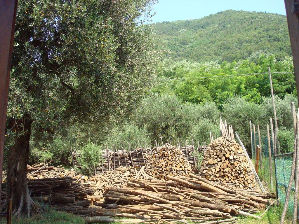 Villa Il Castagneto Teolo Esterno foto