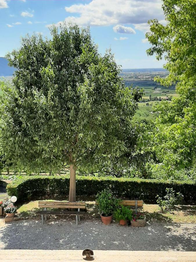 Villa Il Castagneto Teolo Esterno foto